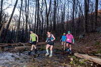 Terrapin Mountain 2024